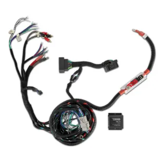 Picture of DD-JL-HARNESS